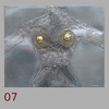 07.jpg